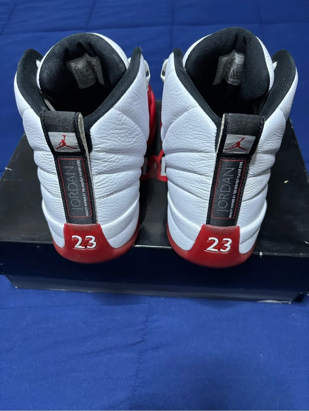 Jordan 12 retro